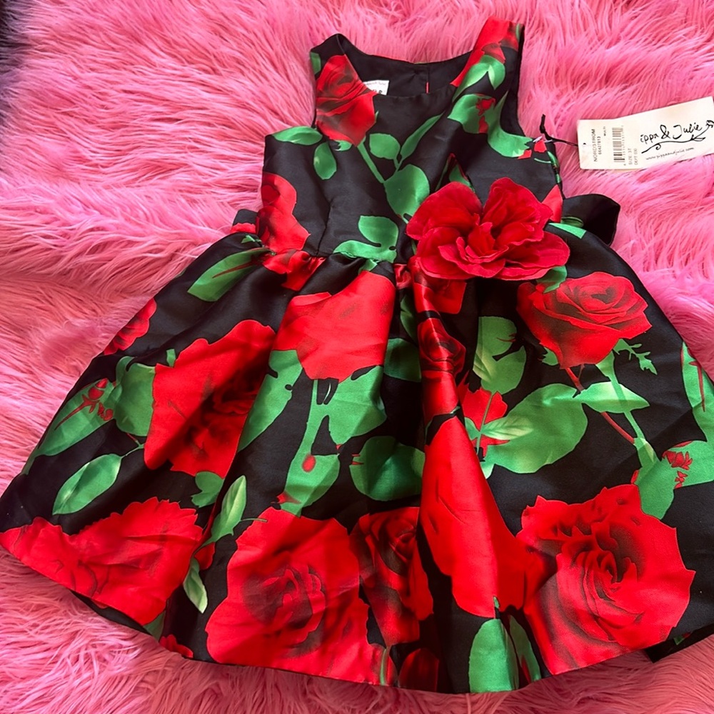 Brand new Nordstrom toddler dress